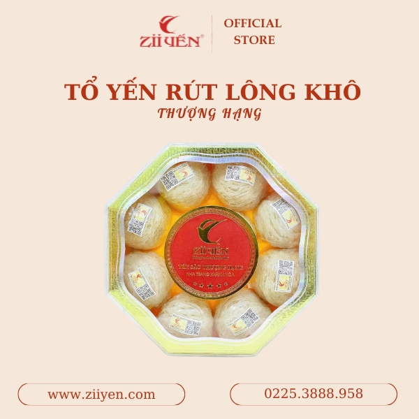 Yến sào - Tổ yến